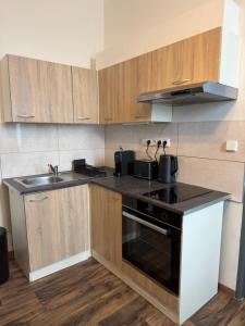 Apartmán Pardubice 4