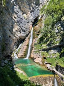 Apartma Fonda Bohinj