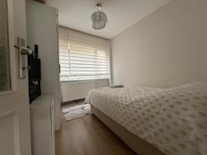 AC Realestate