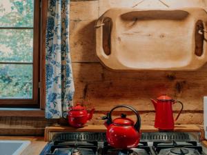 Holiday Home Chatka Zimorodka by Interhome