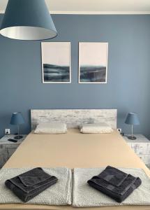 White and Blue apartment