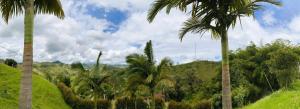 Nomad Nest near Guatap Jacuzzi Turkish WiFi-full