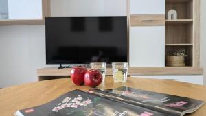 MIRADOR comfort apartment