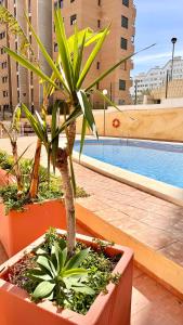 PANORAMIC PENTHOUSE APARTMENT, ESTRELLA de LA CALA, BENIDORM
