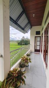 Alva Masakke Homestay