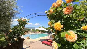 Agriturismo Podere Campiglia