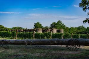 Chateau Eniseli