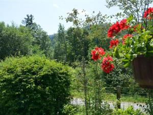 Apartment Abnaki- Chalet Appartement-Fewo- Dusche oder Bad- WC 2-Bettwohnung by Interhome
