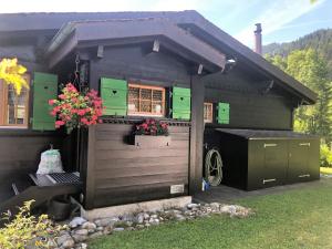 Apartment Abnaki- Chalet Appartement-Fewo- Dusche oder Bad- WC 2-Bettwohnung by Interhome