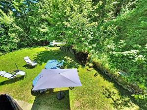 Holiday Home Le Mayen dOvronnaz by Interhome