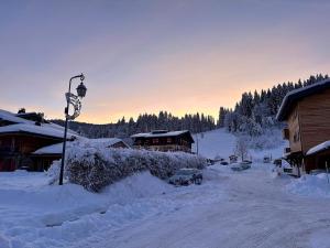 Luxury Facing Slopes ski in out