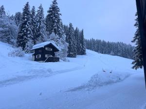 Luxury Facing Slopes ski in out