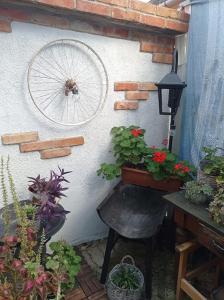 Revans teázó apartman- belváros