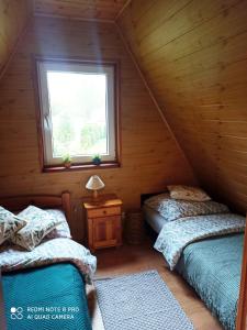 Dzikie Bieszczady Pod Lipami