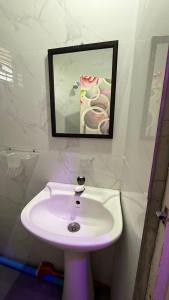 Roshini Homestay Hampi