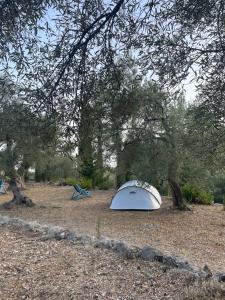 Camping Himara