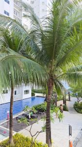 Shore 1 Residences Tower A By Labella Pool View Unit