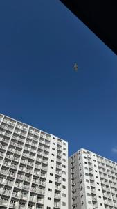 Shore 1 Residences Tower A By Labella Pool View Unit