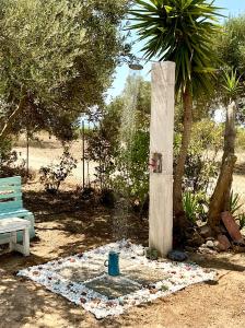Horizon House, with Olive Grove and a small Vineyard