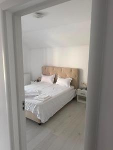AME Home Apartament 2