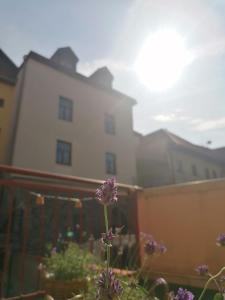 Apartmán Nádvorie