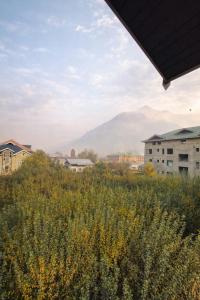 Shesh Bagh Kashmiri Villa near Mughal Gardens and Dal Lake