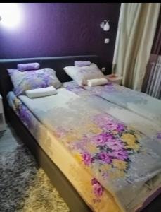 Sokobanja na dlanu 2