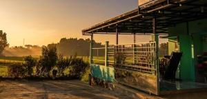 PanjaluNet Homestay