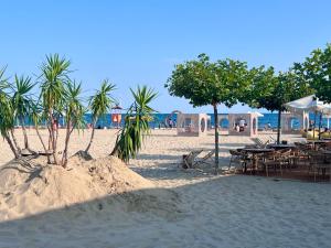 Olive Luxury Apartment few steps away from the sandy beach