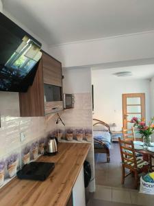Apartament przy weneckim mostku
