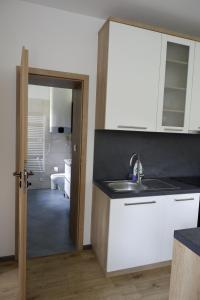 Apartmán Borůvka