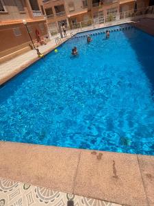 Dudek Apartments