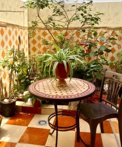 maison halima