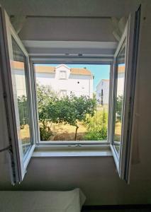 Apartments Marino