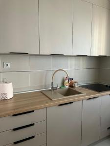 Apartman u centru Niša