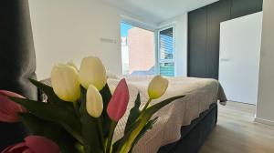 Luxury new house with garden Lorincik Haje Peres