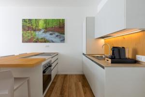Tarvisio Suites - Centro & Alpe Adria Bike - 102