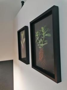 Apartmán Nádvorie