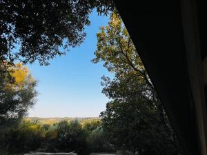 Podere Orzale Agriturismo Galmping Cavalli