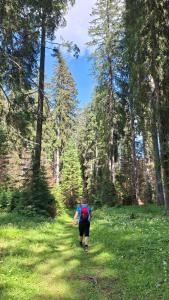 Chalet Harmonia Bled-Pokljuka