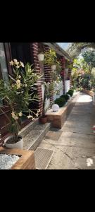 Oleander Apartman