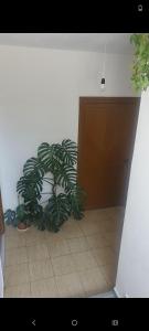 Vila Imami