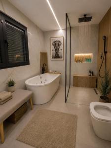 luxury villa