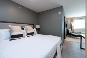 Vassar Flats Fully Furnished Extended Stay