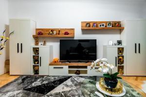 Luxury Riverside Apartment Băile Herculane