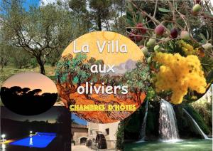 B&B / Chambres d'hotes La Villa aux Oliviers : photos des chambres