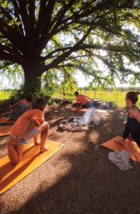 Finca Zen, naturaleza y agroecologia