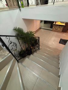 Hotel del Parque Arauca