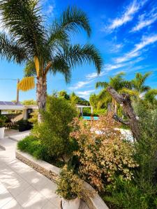 Pool House Terracina