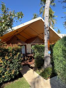 Gili Tenda